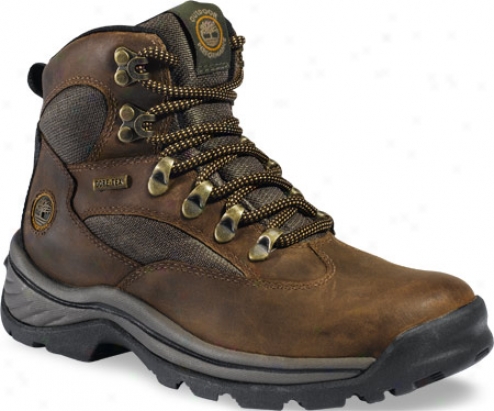 Timberland Chocorua Ttail (women's) - Brown/green