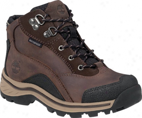 Timberland Pawtuckaway Hiker (children's) - Brown Smooth Leather