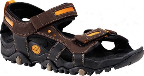 Timberland Trailray Sandal (men's) - Dark Brown/orange