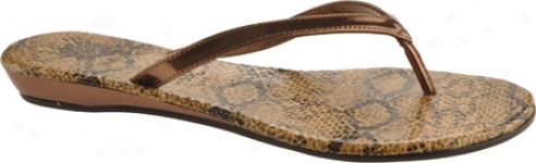 Yellow Box Python (women's) - Bronze