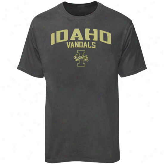 Adkdas Idaho Vandals Charcoal Arch & Logo Paint Dyed T-shirt