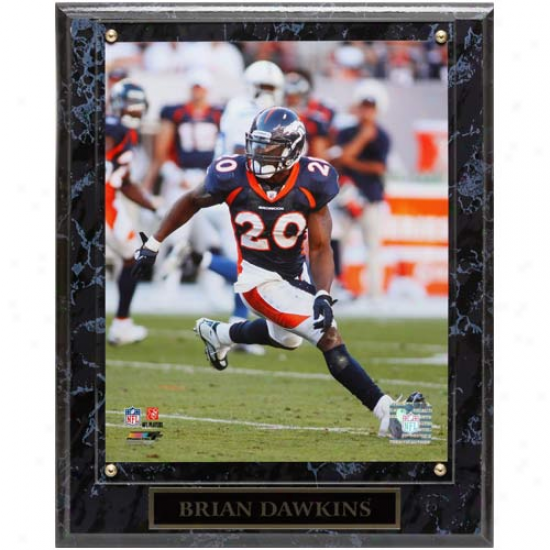 Denver Broncos #20 Brian Dawkins 10.5'' X 13'' Action Player Flat plate of metal