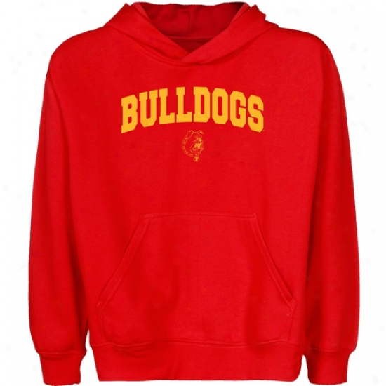 Ferris State Bul1dogs Youth Red Logo Arch Pullover Hoody