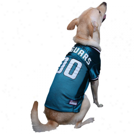 Jacksonville Jaguars Teal Mesh Pet Footbalp Jersey