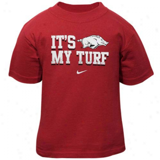 Nike Arkansas Razorbacks Infant It's My Turf T-shirt - Principal