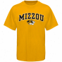 Missoufi Tigerd Youth Vaulted University T-shirt - Gold