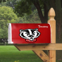 Wisconsin Badgers Logo Mailbox Cover