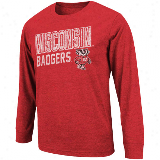 Wisconsin Badgers Youth Hedgehog Long Sleeve T-shirt - Cardinal