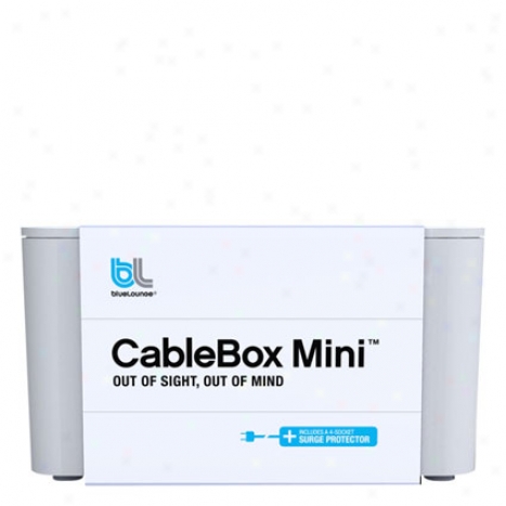 Cablebox Mini With Adapter By Bluelounge - Happy