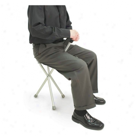 Walking Seat & Cane In One - Gray Aluminum