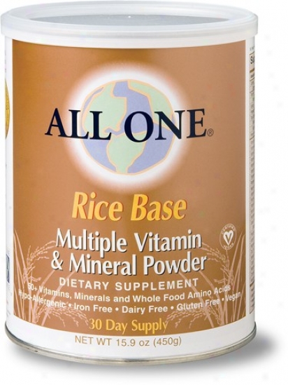 All-1's Rice Base Powder 15.9oz