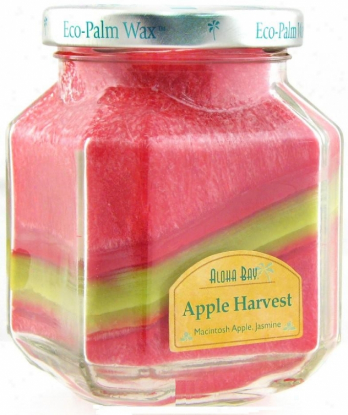 Aloha Bay's Candle Deco Jar Scented Apple Harvest 8.5oz