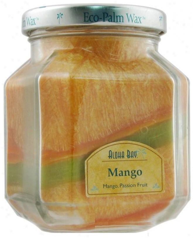 Aloha Ba'ys Candle Deco Shake Scented Mango 8.5oz