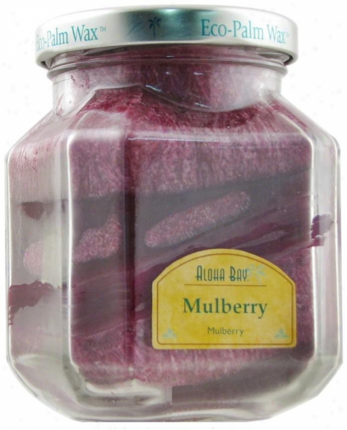 Aloha Bay's Candle Deco Jar Scented Mulberry 8.5 O2