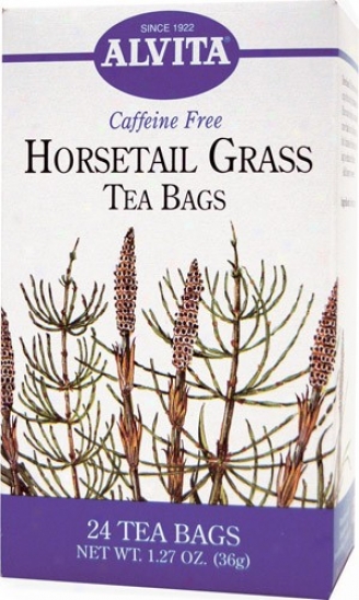 Alvita Tea's Horsetail Grass Tea 24bags