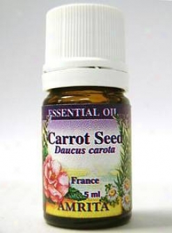 Amrita Aromatheraphy's Carrot Seed 5 Ml