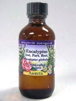 Amrita Aromatheraphy's Eucalyptus (Mild) Part. Rect. Essential Oil 2 Oz