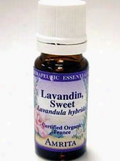 Amrita Aromatheraphy's Lavandin (sweet) Essential Oil 1/3 Oz
