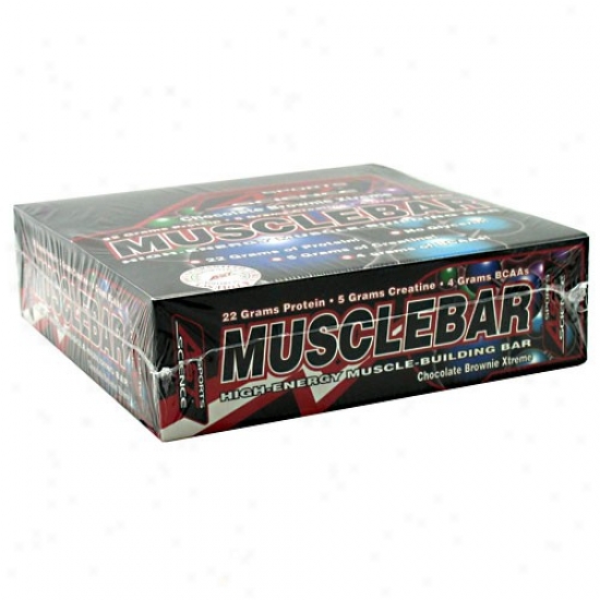 Ast Sport's Muscle Bar Chocolate Brownie Xtreme 42gm 12/box