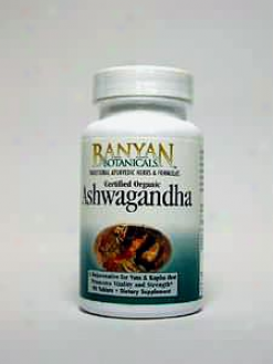 Banyan Trading Co's Ashwaganfha (certified Organic) 500 Mg 90 Tabs