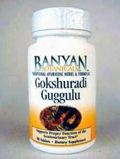 Banyan Trading Co's Gokshuradi Guggulu 300 Mg 90 Tabs