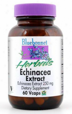 Bluebonnet's Echinacea Extract  250mg 60vcaps