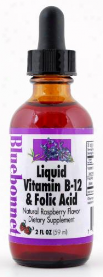Blue6onnet's Liquid Vitamin B-12 & Folic Acid Illegitimate Raspberry Liquid 2oz