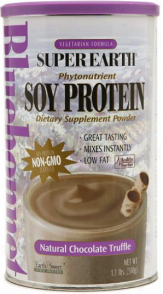 Bluebonnet's Super Earth Soy Protein Nat Choc Truffle Powder 1.1lb