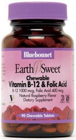 Bluebonjet's Vitamin B-12 & Folic Acid 90tabs