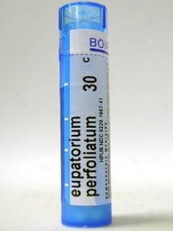 Boiron's - Eupatorium Perfoliatum 30c 80 Plts