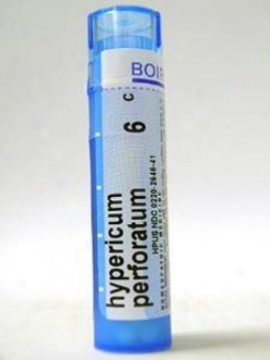 Boiron's - Hypericum Perforatum 6c 80 Plts