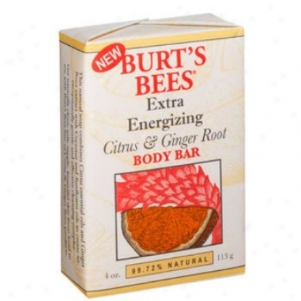 Burt's Bees Citrus & Ginger Root Body Bar Soap 4oz