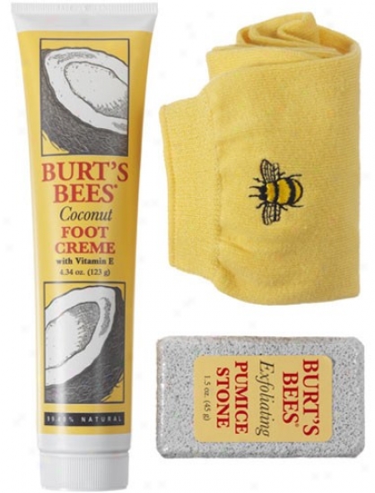 Burt's Bees Foot Care Kit