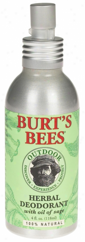 Butt's Bees Herbal Deodorant W/ Oil Of Sage 4oz