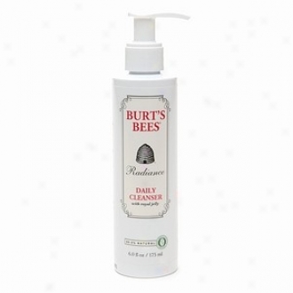 Burt's Bees Radiance Daily Cleanser With oRyal Jelly 6 Fl Oz