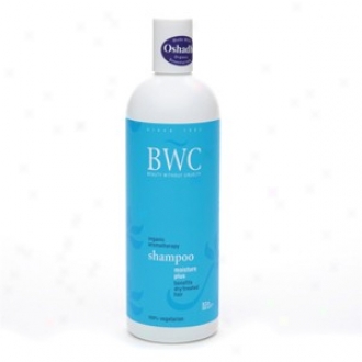 Bwc's Shampoo Radical Aromatherapy Moisture Plus 16 Fl Oz