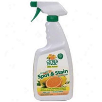 Clearly Natural's Instant Spot & Stain Remover 22oz