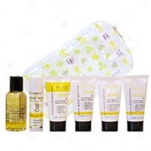 Deep Steep's Grapefruit Bergamot Sampler Set 6pcs