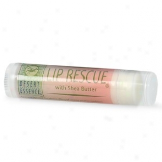 Desert Essence's Lip Rescue Shea Butter .15oz