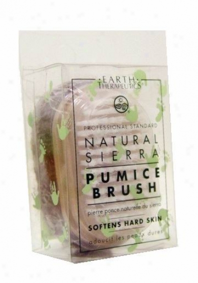 Earth Therapeutics Natural Pumice Brush