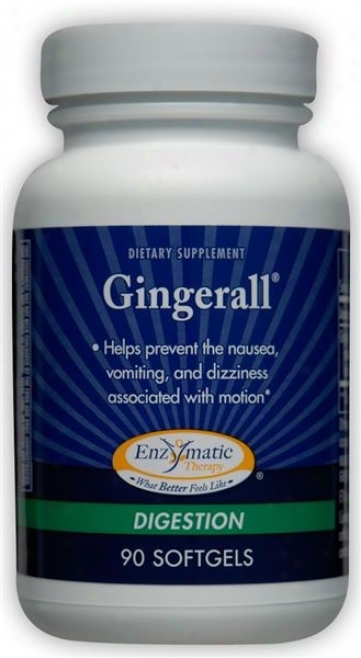 Enzymatic's Gingerall 90sg