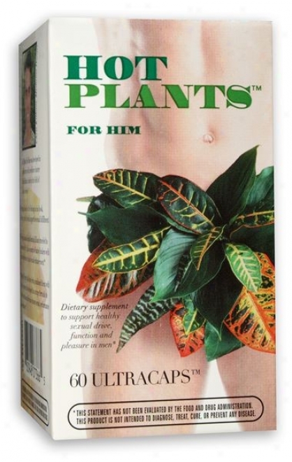 Enzymatic's Hot Plants For Him 60caps