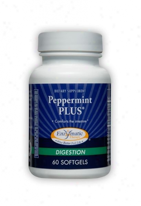 Enzymatic's Peppermint Plus  60 Sg