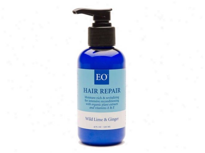 Eo's Hair Mend Wild Lime & Ginger 4oz