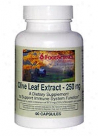 Food Science's Olive Leaf 250mg 90caps
