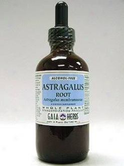 Gaia Herb's Astragalus Root Alcohol-free 4oz