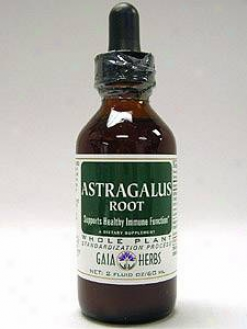 Gaia Herb's Astragalus Root (chinese) 2 Oz