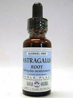 Gaia Herb' Astragalus Root (chinese) Glyxerite 1 Oz