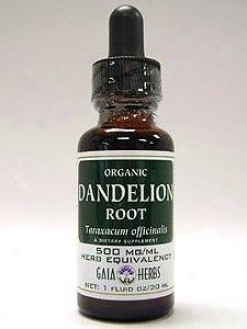 Gaia Herb's Dandelion Root 1oz