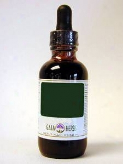 Gaia Herb''s Echinacea Supreme Glycerite A-f 1 Oz